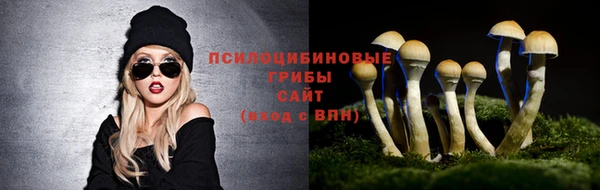 a pvp Баксан