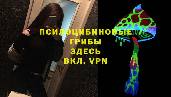 а пвп мука Балахна